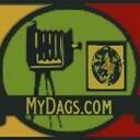Dan Hadley - @Mydags - Twitter