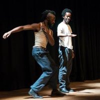 Nathalie Teitler (@dancingwords1) 's Twitter Profile