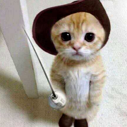 Nailakarima_'s profile picture. now or never