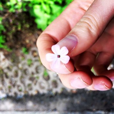 raininmei's profile picture. 