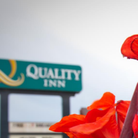 QIRichfield's profile picture. Located in beautiful downtown area, near Sevier Valley Center, shopping, and restaurants.  Perfect place to stop when traveling to or from Bryce Canyon, Zions,