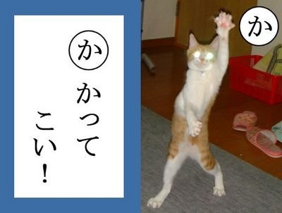 ちゃまこさんのプロフィール画像