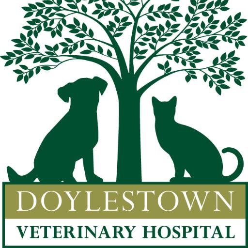 Doylestown Veterinary Hospital dedicated to the health of pets in Bucks County & area. Exceptional medical & surgical services in atmosphere of comfort & care.