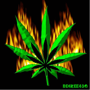 Do You Want It To Be Legaliezed Too? :^)