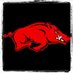 David May (@hogs_rule) Twitter profile photo David May (@hogs_rule) Twitter profile photo