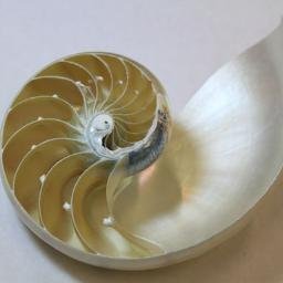 ttasoft1's profile picture. 