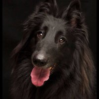 MyPepperTime Ⓥ (@mypeppertime) 's Twitter Profile Photo