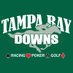 Tampa Bay Downs Official Account (@TampaBayDownsFL) Twitter profile photo