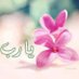 Heba Mahmoud (@heba1246) Twitter profile photo Heba Mahmoud (@heba1246) Twitter profile photo
