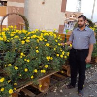 محمد جواد الكعبي (@jawadalkaby990) Twitter profile photo