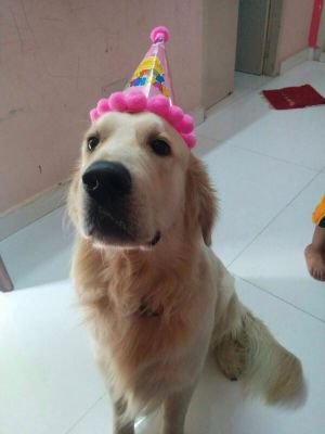 shilpz81's profile picture. 