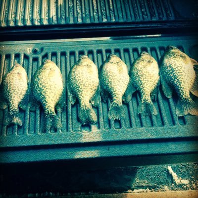 We are a group of guys who like to hunt and fish and live off the land. Nothing we catch or hunt goes to waste. Viewer Discretion may be advised.