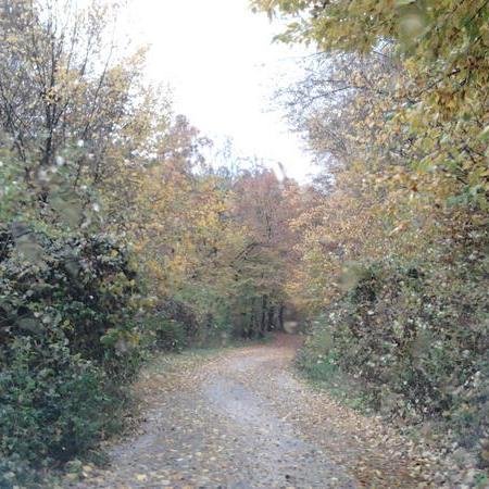 2blackpr's profile picture. Software Engineer, Entrepreneur, Researcher