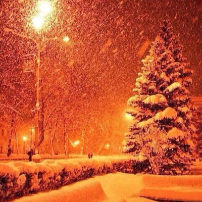 for people whos second favourite season is summer ❄️ If you want your winter picture posted just DM me!