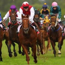 A retired professional backer, tipster, and author.