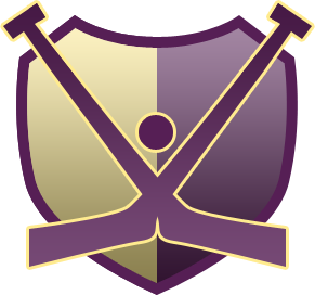 I'm a web designer and huge hockey fan. This is my hockey-only account. DM me if you have a blog post you'd like to promote. Check out http://t.co/KpcBKlNLeW
