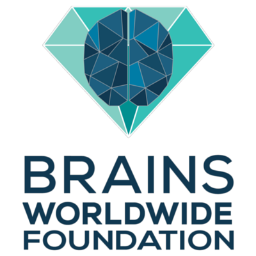 A project of BrainsWorldwide Foundation-- a Non-profit organization dedicated to research and education on hidden concussions