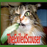 The Exiled Scouser (@p4ulawilliams) 's Twitter Profile