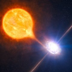 SplunkYou's profile picture. 