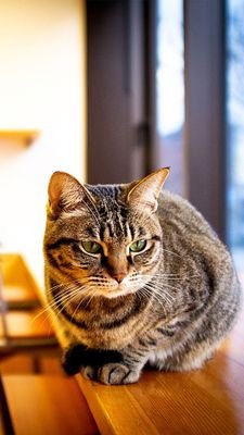 Kaoru1903's profile picture. 