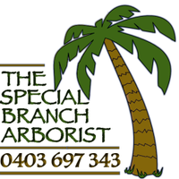 The Special Branch Arborist(@AllTreesSaved) 's Twitter Profileg