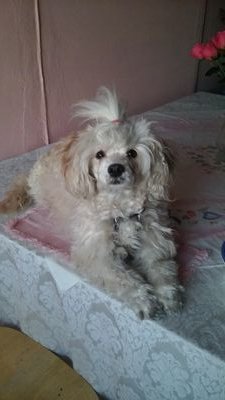 Jeanie11117's profile picture. Master of self reinvention. Youthful aspiring Fashion Artist. Studied International Business and Economics at NYU—BS. Trader Survivor. Fed Admin for VA.