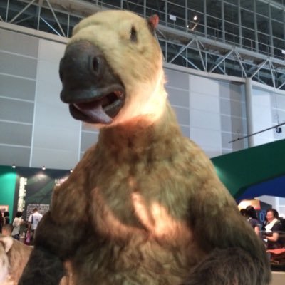 桒原一平 Telipei Twitter 桒原一平 Telipei Twitter