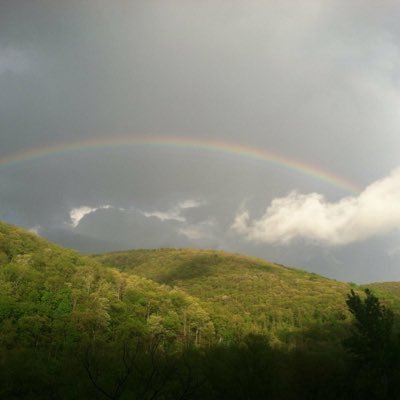 firstbase1515's profile picture. Phillies girly ⚾️