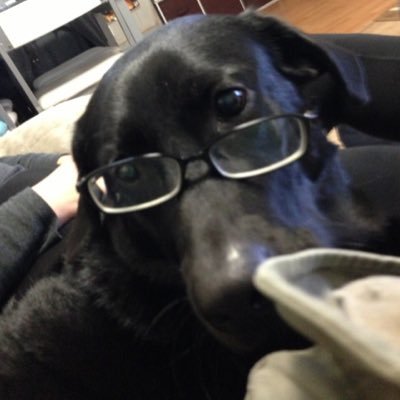 いよぽんさんのプロフィール画像