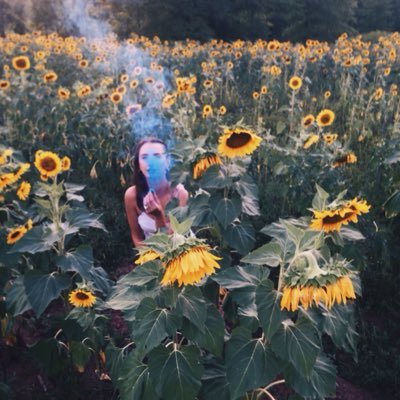 mich_simone's profile picture. mysticism and madness ||| film, photography, music