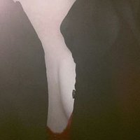 Shez (@shezza246810) 's Twitter Profile