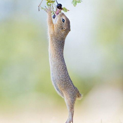 pharouqadekunle's profile picture. #medtwitter
Tech Junkie