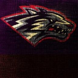 LoboBasketball Profile