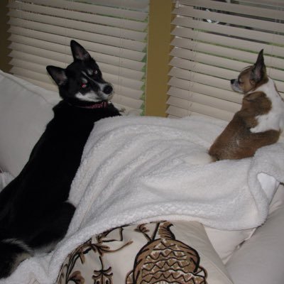 bobbouy's profile picture. Just your average, knuckle dragging, pants wetting, diaper wear car guy.

Manyvids: https://t.co/fh8M9gxDRs