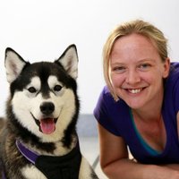 Lisa Wallis (@fluffywolfhusky) 's Twitter Profile
