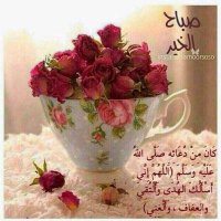 reem_bent_aboha (@reem_bent_aboha) 's Twitter Profile