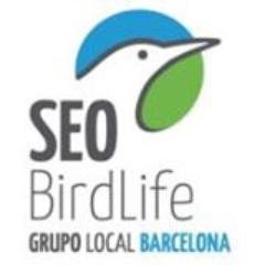 Som el Grup Local de socis de SEO/Birdlife a Barcelona i defensem les aus i la natura. T'hi apuntes?