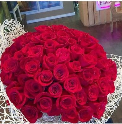 salahturkiturki's profile picture. 