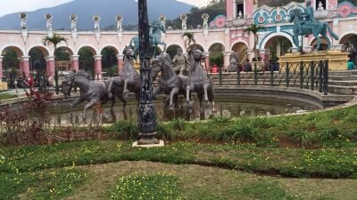 82drpc's profile picture. 