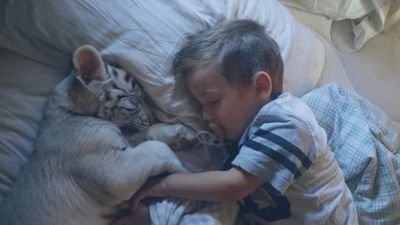 beatdecker's profile picture. ..may all your days be circusdays!