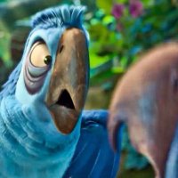 كائنات🐒🐣🐹🐰🐦🐧🐔قطط وطيور (@ka_enat) 's Twitter Profile