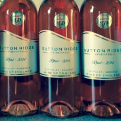SuttonRidgeWine's profile picture. Family run vineyard in the heart of the Yeo Valley producing quality English wines from hand tended vines.