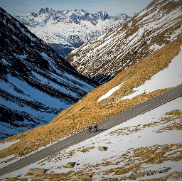 BausagerCycling's profile picture. 