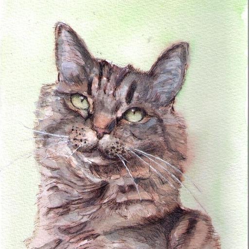 I'll draw your pet for free! Just send me a photo via this link, and I might pick you!
http://t.co/ij8vgGIotx   #DrawMyPet