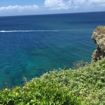 rosetea1113's profile picture. 