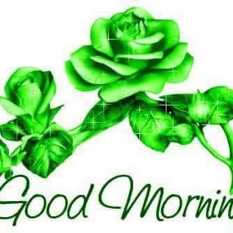 ogZ7bElQm01mKA3's profile picture. 