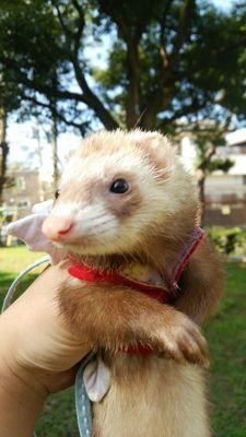 どや。さんと他198,623人さんのプロフィール画像