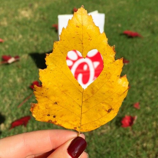 Official Twitter for Chick-Fil-A on N. Beltline Rd.