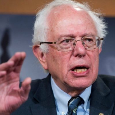 berniethoughts Profile Picture