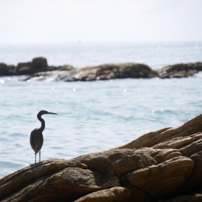 KhunauxPatrawut's profile picture. 